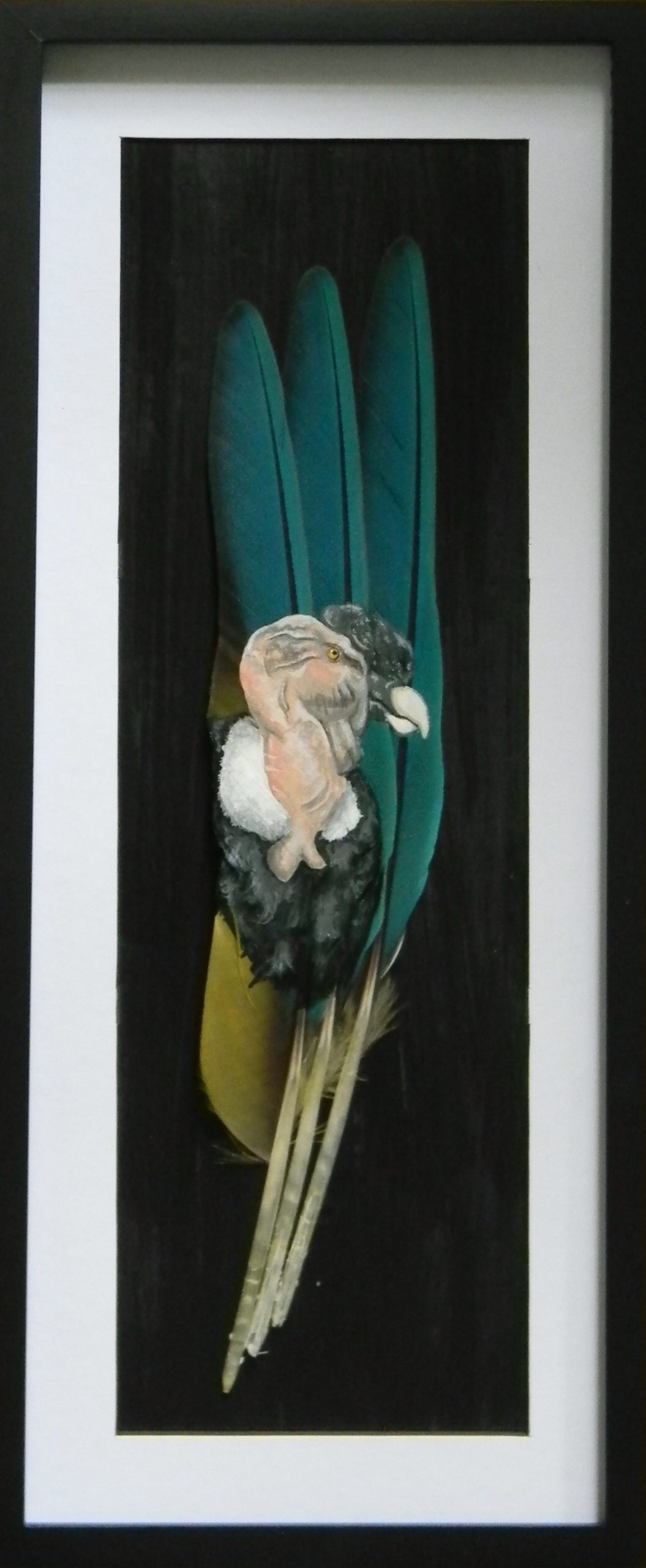 Hand painted feather-andean condor