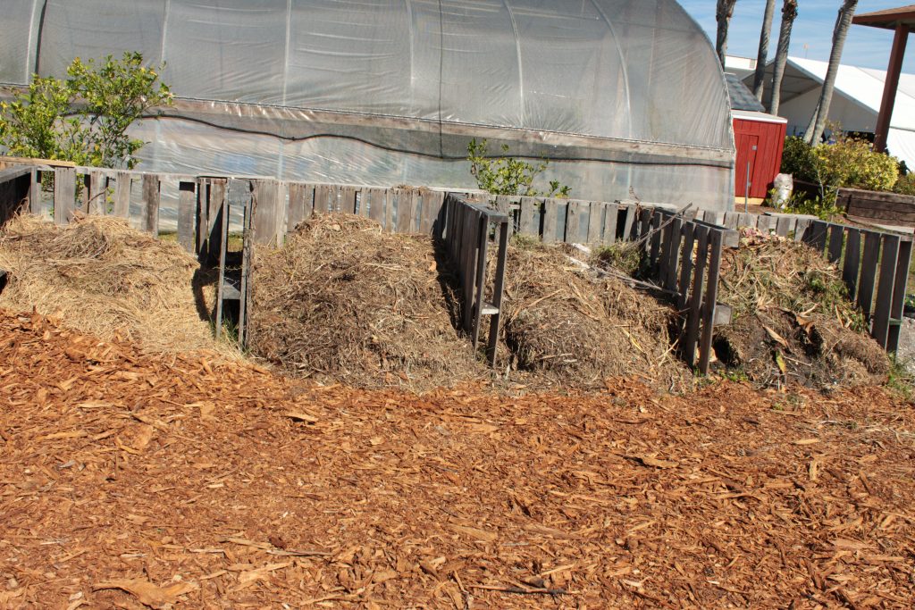 How to Set up a Threebin Compost System Kenny Coogan carnivorous