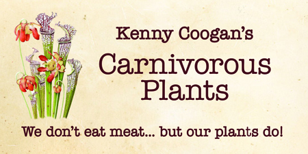 Kenny Coogan – carnivorous plants