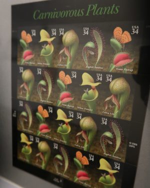 Carnivorous plant stamps