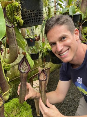 N. ramispina x robcantleyi – best two selected clones: BE-3939 LARGE