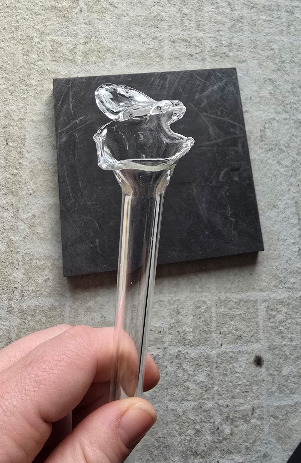 Sarracenia Pitcher Plant Glass Stake Crystal Clear (8.5")