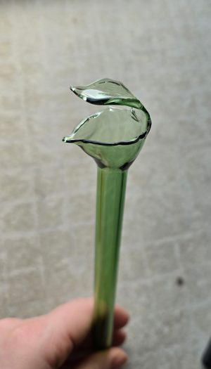 Sarracenia Pitcher Plant Glass Stake Moss Green (8.5")