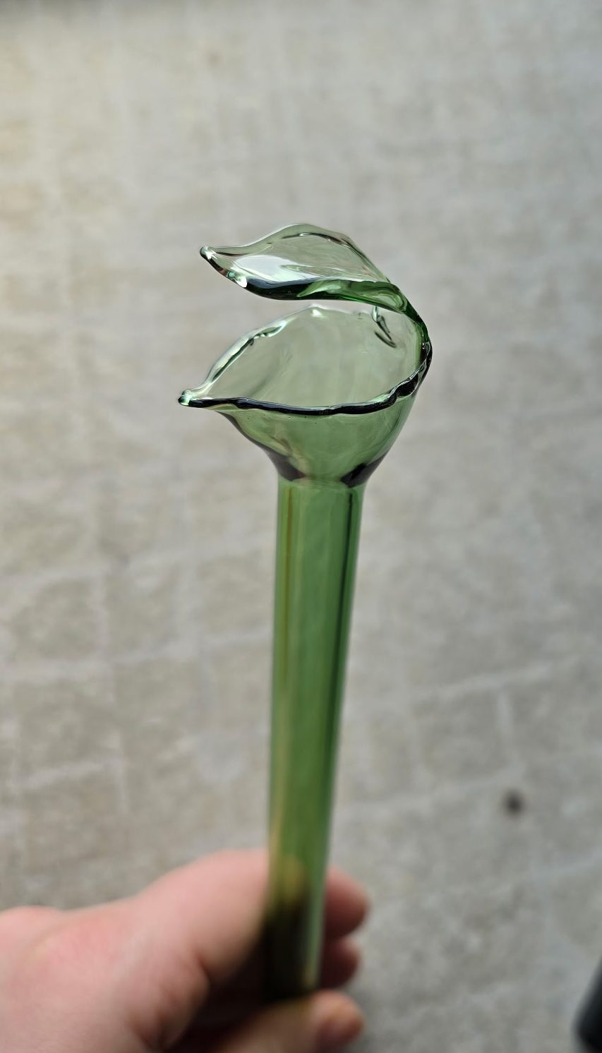 Sarracenia Pitcher Plant Glass Stake Moss Green (8.5")