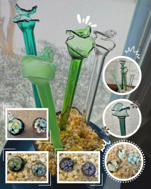 Handmade Carnivorous Plant Glass Collection