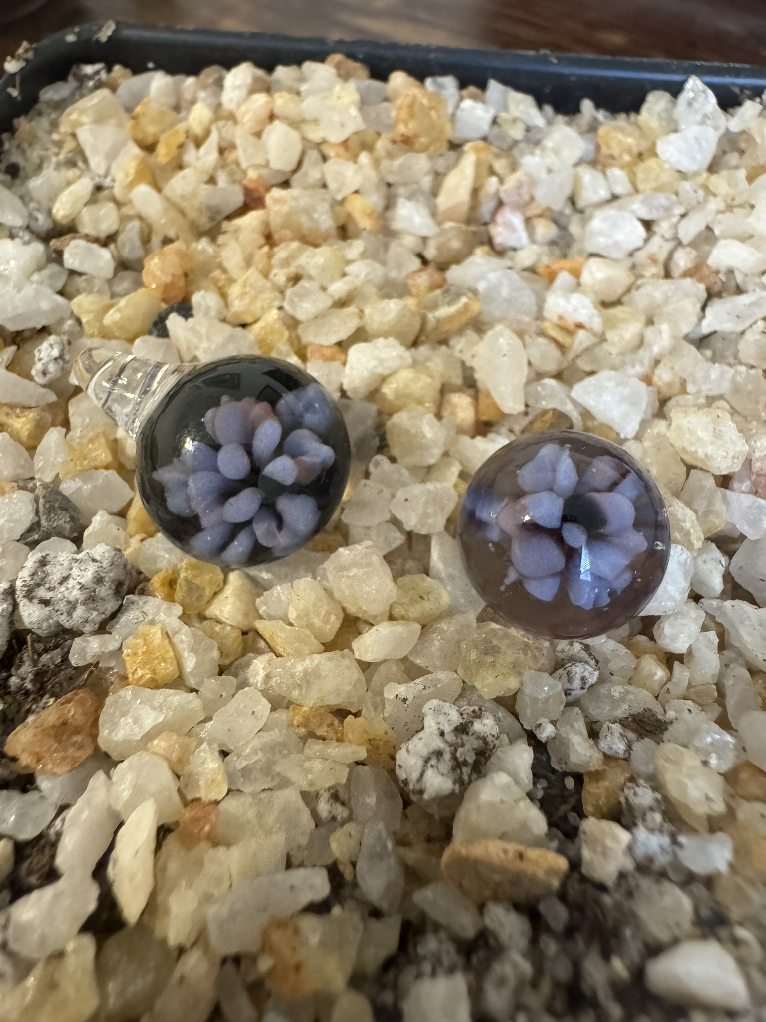 Butterwort Royal Purple Glass Marble (~0.5" Diameter) - Image 2