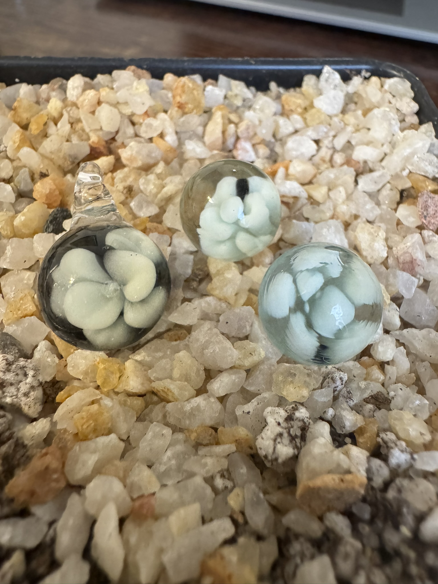 Butterwort Green Glass Marble (~0.5" Diameter) - Image 2