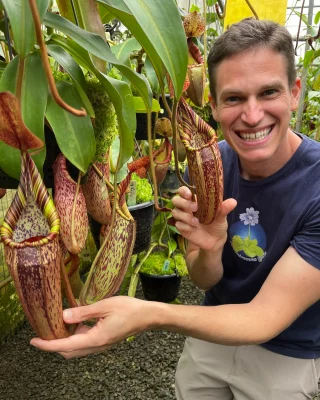 カーペンター　歌姫　175-55 カーペンター 歌姫 175-55 歌姫95-210 SH UH カーペンター carpenter γ