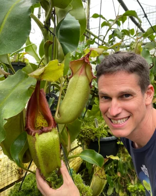 N. villosa x hamata – assorted clones: BE-4099 - Kenny Coogan