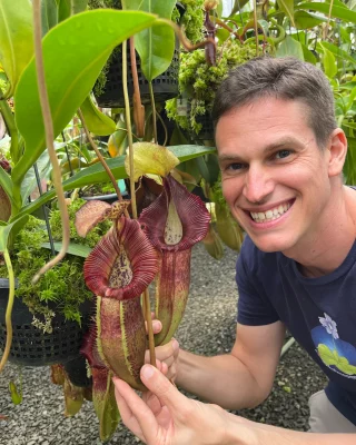 plant　引取り限定 ウィンチ 引き取り希望 ウィンチ 引き取り希望 60センチハイタイプ