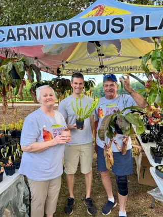 N. veitchii x lowii: BE-4006 - Kenny Coogan - carnivorous plants